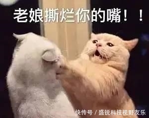 工作室|仝卓这不就是撕人答题卡吗?