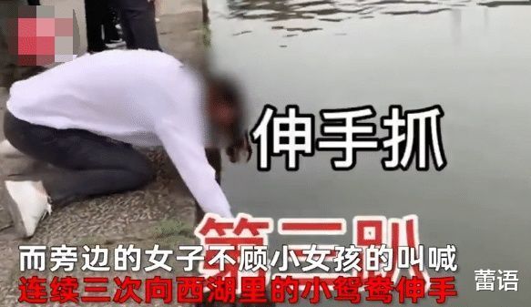 阻扰|气愤女子不顾阻扰，几次抓西湖小鸳鸯，连小女孩都大喊别抓