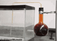  氧化|17个隐藏在生活中的魔幻化学反应