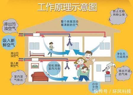 彩神vll科普｜一分钟了解新风系统(图1)