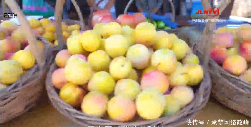 秋天|“最美乡村”小绥河,这里的秋天是酸甜滋味