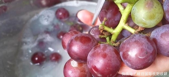 盐水|洗葡萄用盐水就错了,等于吃虫卵,教你2个技巧,虫卵跑光光