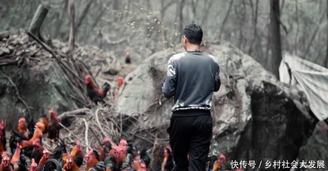 捧场|娱乐圈唯一养鸡的男明星,半个娱乐圈都要去捧场,后来成这样