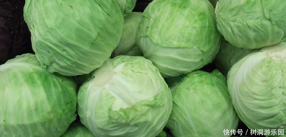  称为|这种蔬菜被称为“血栓斑块清道夫”，想血管畅通，日常不妨多吃点