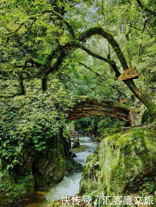  西双版纳|这个被各大热门综艺独宠的宝藏省份，真是仙到要疯！