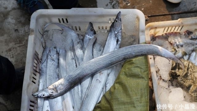 鱼贩子|买带鱼时,遇到这3种带鱼,聪明人扭头就走,鱼贩子此人是行家