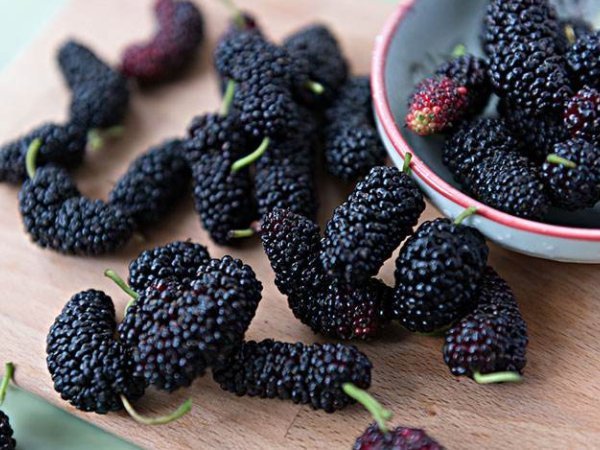 老年痴呆|医生以下4种食物是老年痴呆克星,只要吃对一个,痴呆晚来10年