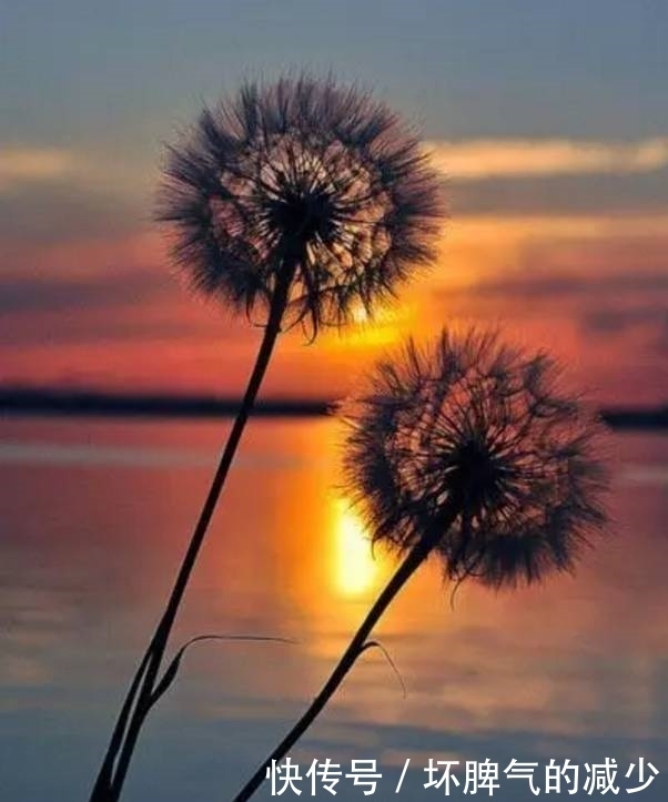 深度|沉默是金(深度)