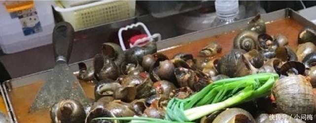 中国|越南人当“宝贝”的4道下酒菜,中国人一个“不敢吃”,怕了怕了