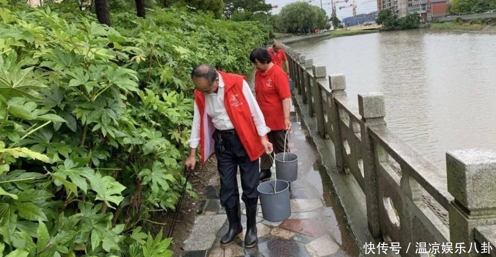  活动|每个星期四，崇明这些人一起相约“护家园”