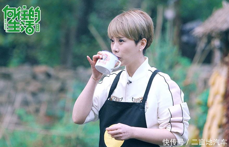 海清|向往的生活彭昱畅和胡先煦气氛不对,镜头前直接拉下脸