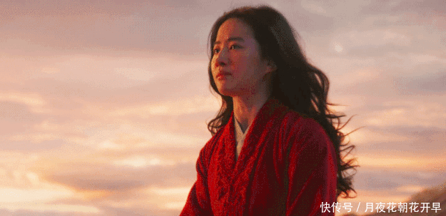 太贵|《花木兰》转网被嘲太贵,刘亦菲怎么就输了?