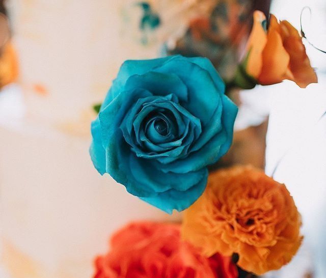 告诉|这些蛋糕的设计者,告诉你什么叫真正的蛋糕