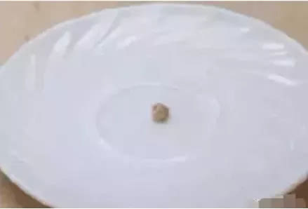 饺子|吉尼斯世界之最男子坚持15分零2秒破纪录,“最小”的饺子长啥