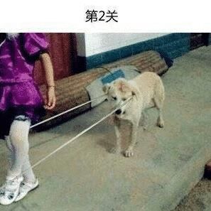 回复|“头盔上为什么要加个网哈哈哈哈哈看到回复差点笑到窒息”