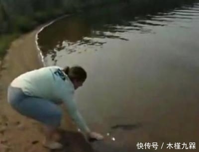 河里|女子把一条养了10年的鱼拿到河里放生,结果使女子无法淡定