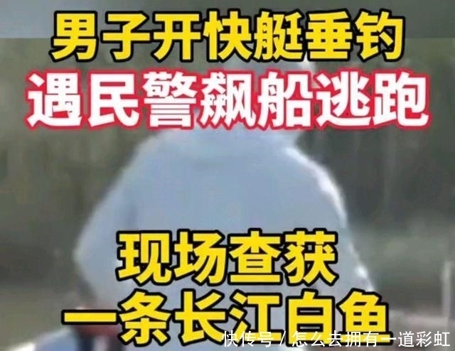 快艇|开快艇钓鱼，逃跑后被抓，又被罚款3千，了解过程后拍手叫好