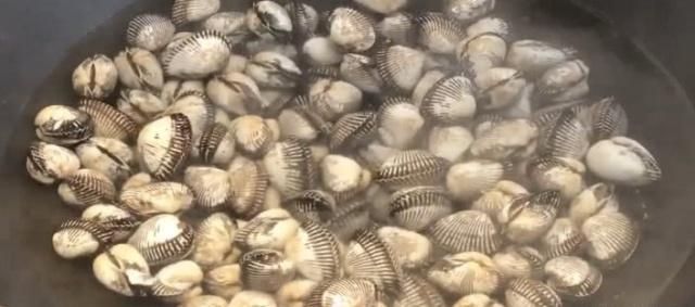 鲜滑|渔民教你正确吃血蛤,不腥不膻麻辣鲜滑,一口一个好吃到吸手指