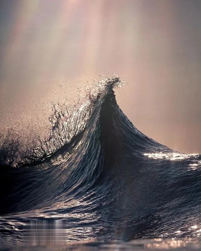  澳大利亚|世界上最浪的男人，浪了11年却得到18万人的喜爱