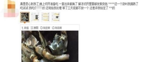 东西|网购龙虾到家已发臭, 找店家解决问题, 结果客服的回复亮了