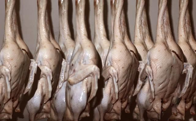 香辛料|盐水鸭非常简单,重要用90度水焯,白米醋除腥,香辛料仅用八角、麻椒