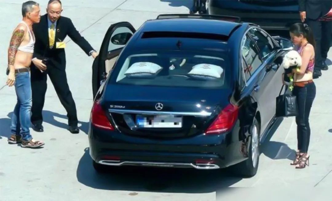 智力|提帮功智力障碍有原因，西拉米怀孕前后，一直陪伴着“空军元帅”