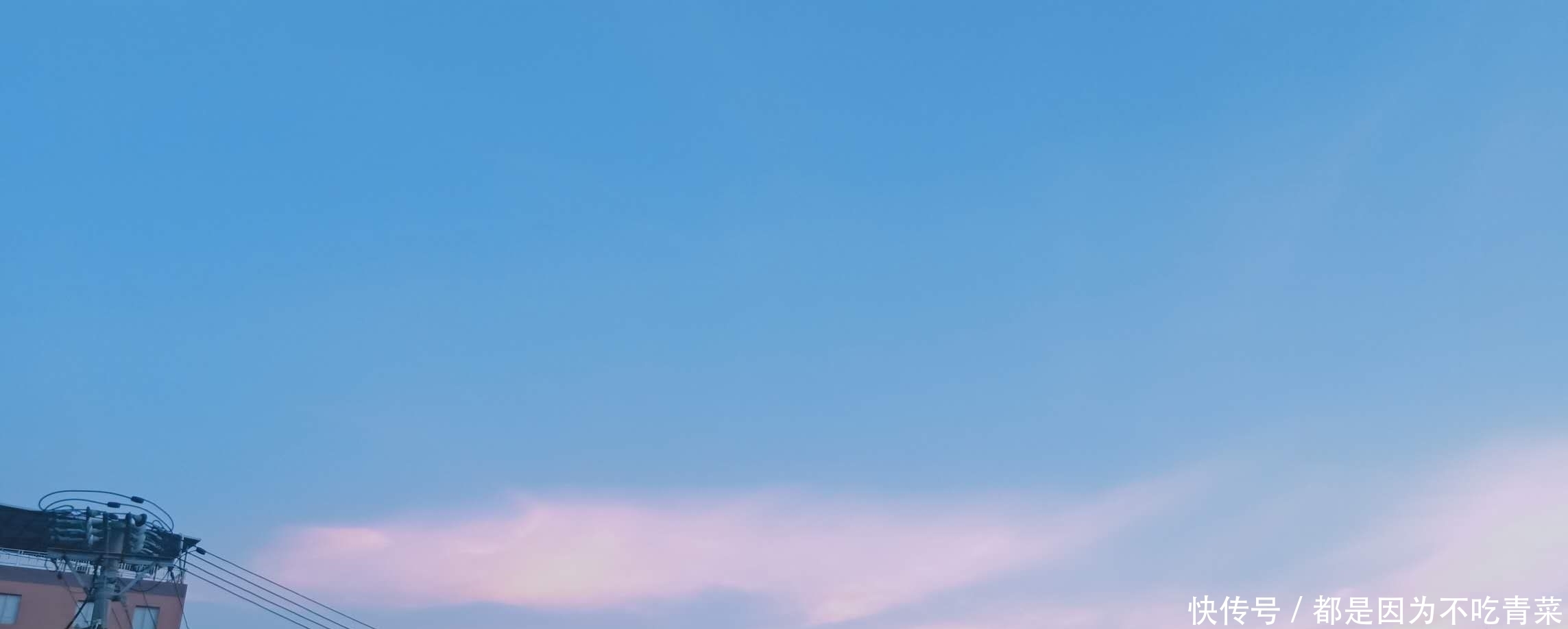 真心话|情感随笔,我的真心话