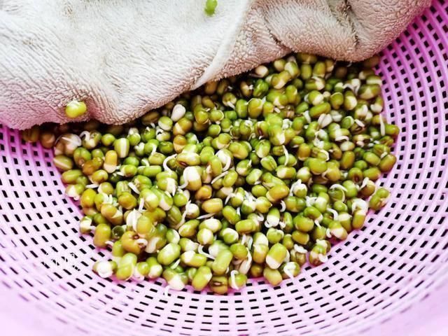 脆嫩|这个发豆芽小秘方,姥姥用了半辈子,又粗壮又脆嫩,3天就能吃