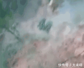  行人|镜头下: 那些不死也会被吓死的“惊险瞬间”