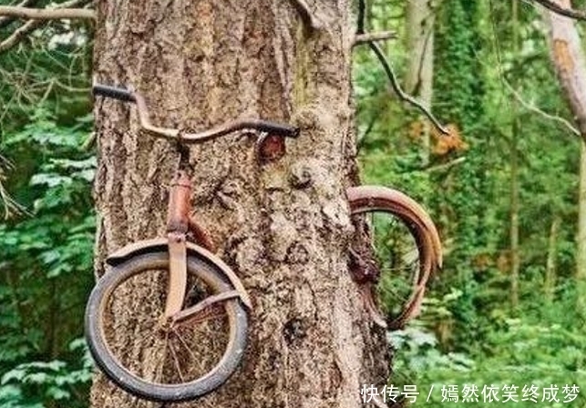 无奈|搞笑图片幽默段子笑话:哈哈,老兄你的头是怎么回事啊,无奈了哦