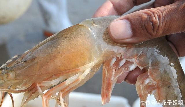 冰箱|保存鲜虾,不要直接放冰箱,老渔夫分享两个秘诀,吃得像鲜虾