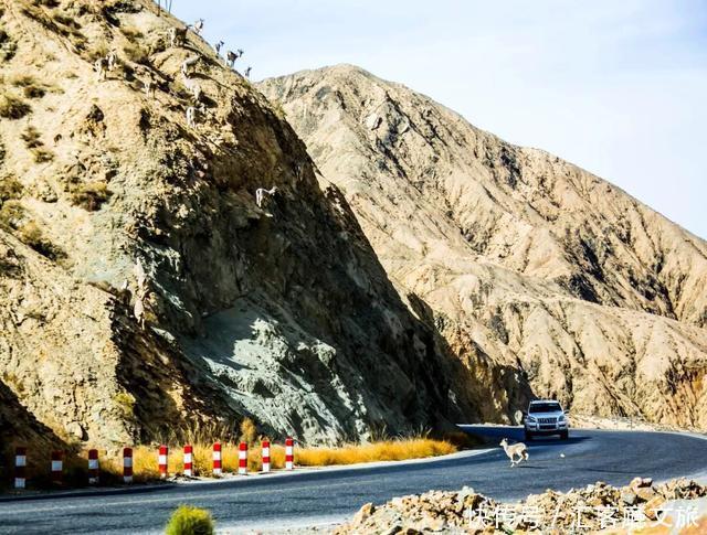 自驾|憋疯了!15条醉美新疆自驾线,正适合七八月挑一条出发!