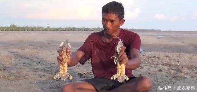 皮皮虾|海滩上发现有两个小洞 男子竟把腿伸进去 大呼: 原来它住在里面
