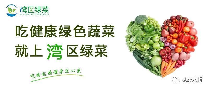 蔬菜|湾区绿菜水培蔬菜|乾隆皇帝都赞不绝口的丝瓜究竟好在哪？？