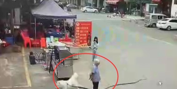 江西吉安县：多办法织密校园食物太平“防护网”，浙江涌现新物种！