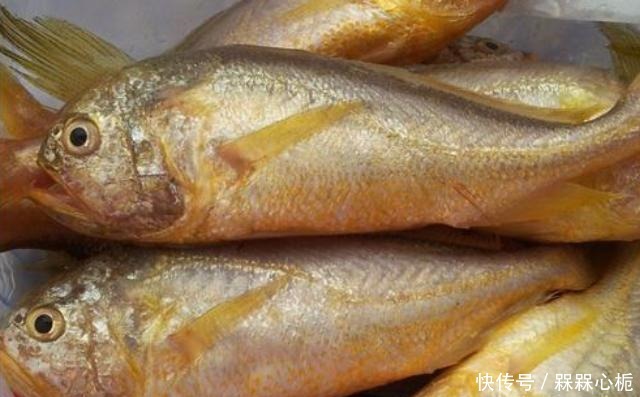 潮汕人|这4种鱼,潮汕人普遍认为最好吃,口味新鲜、数量稀少,价格偏高