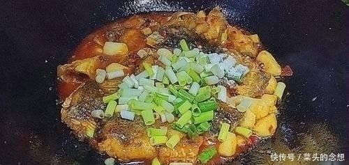 鲤鱼|这鱼比鲤鱼好吃,比甲鱼营养,8元一斤,却常常无人问津!