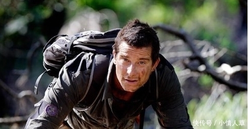 男人|食物链顶端的男人, 《荒野求生》为啥没了? 因为“贝爷”不行被解雇了