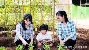 皇室|日本皇室为何不惜被打脸,也要把悠仁亲王打造成“神童”?