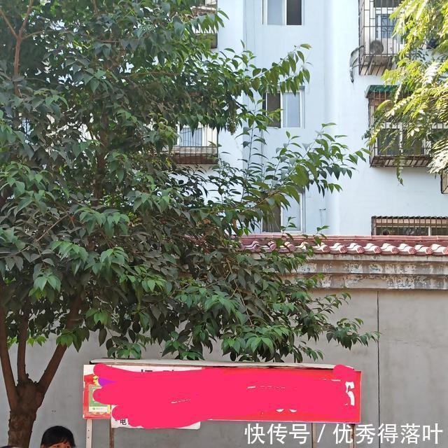 爽滑|这家浆水鱼鱼酸辣味道突出,口感爽滑筋道,风味十足