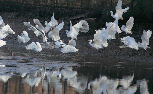  余姚|宁波“最富裕”的县城，即将超过绍兴，不是慈溪和余姚