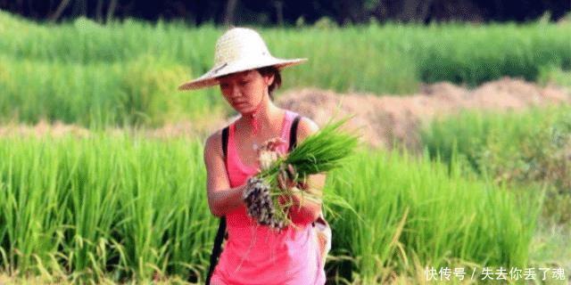 无毛贵如金|俗语 “男人无毛贵如金, 女人有毛混半街”是什么意思！