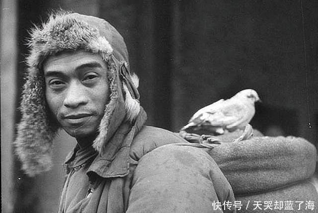  凄惨|淮海战役国军残部纷纷溃退的场景，图2一蹶不振，图4神情凝重凄惨！