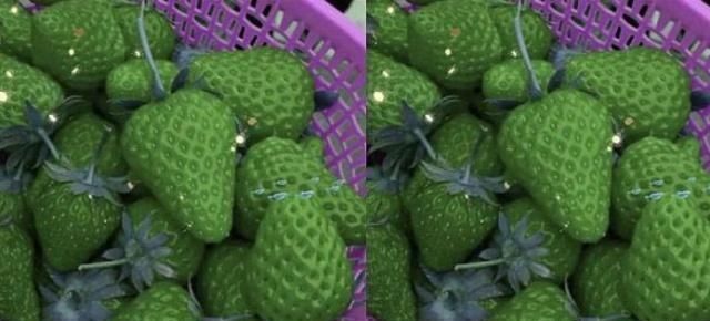 不了|如果给水果换了颜色，你还能接受吗图一忍了，最后一个真忍不了