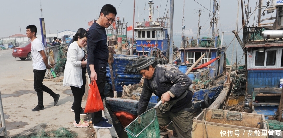 居多|买鱼时,认准这些便宜海鱼,纯野生居多,老渔民自己爱
