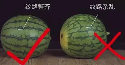 西瓜|挑选水果小技巧,夏天再也不怕挑不到好吃的水果了
