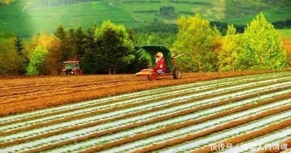 美国|日本农民收入高?看看和美国农民的生活对比再下结论吧