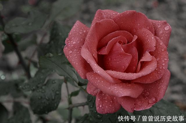 喜不喜欢|分辨对方喜不喜欢你,懂得这点很重要