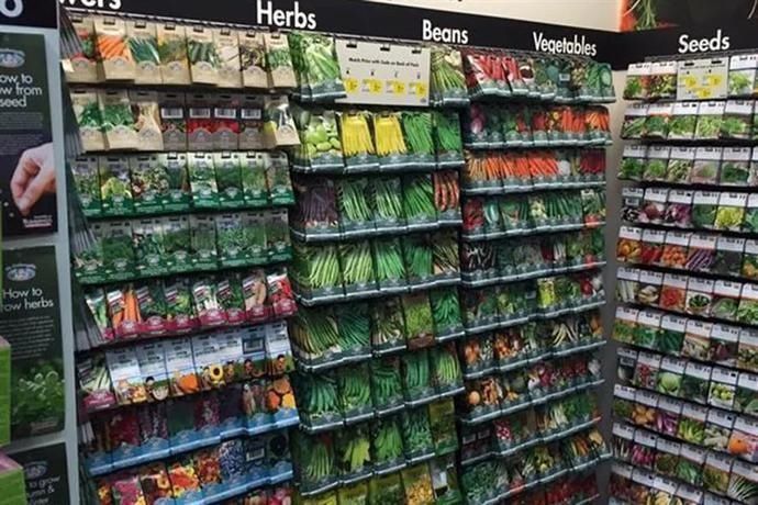 适合|冬天吃不起菜新西兰华人6月种菜攻略,适合新人上手