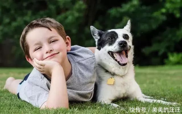 孩子|揭秘:为什么狗狗和小孩玩得来?两者间的“神奇关系”很有趣!